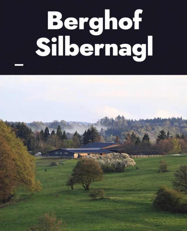 Instagram-Beitrag 18153800929459836