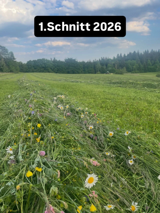Instagram-Beitrag 17878431954457035